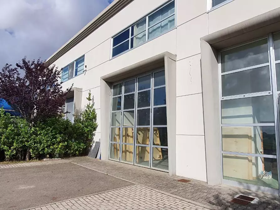 Immagine 2 di Attività commerciale in affitto  a Pisa