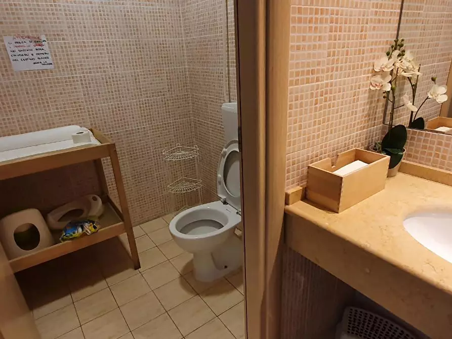 Immagine 20 di Attività commerciale in affitto  a Pisa