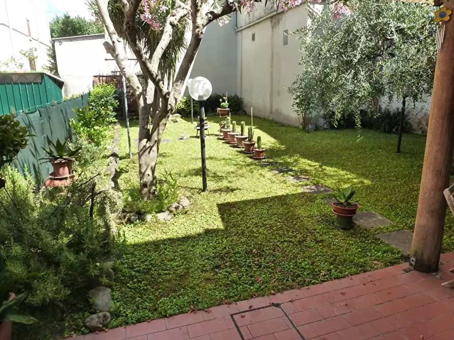 Immagine 8 di Appartamento in vendita  a Pontedera