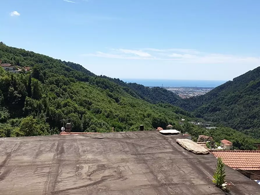 Immagine 11 di Terratetto in vendita  a Massa