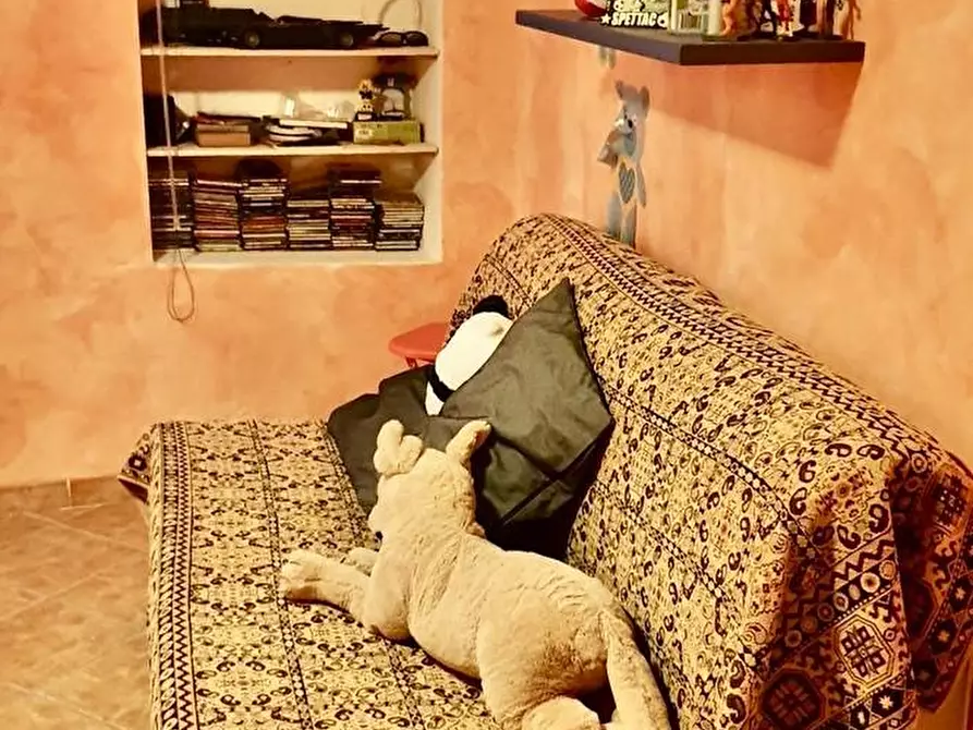 Immagine 13 di Terratetto in vendita  a Massa