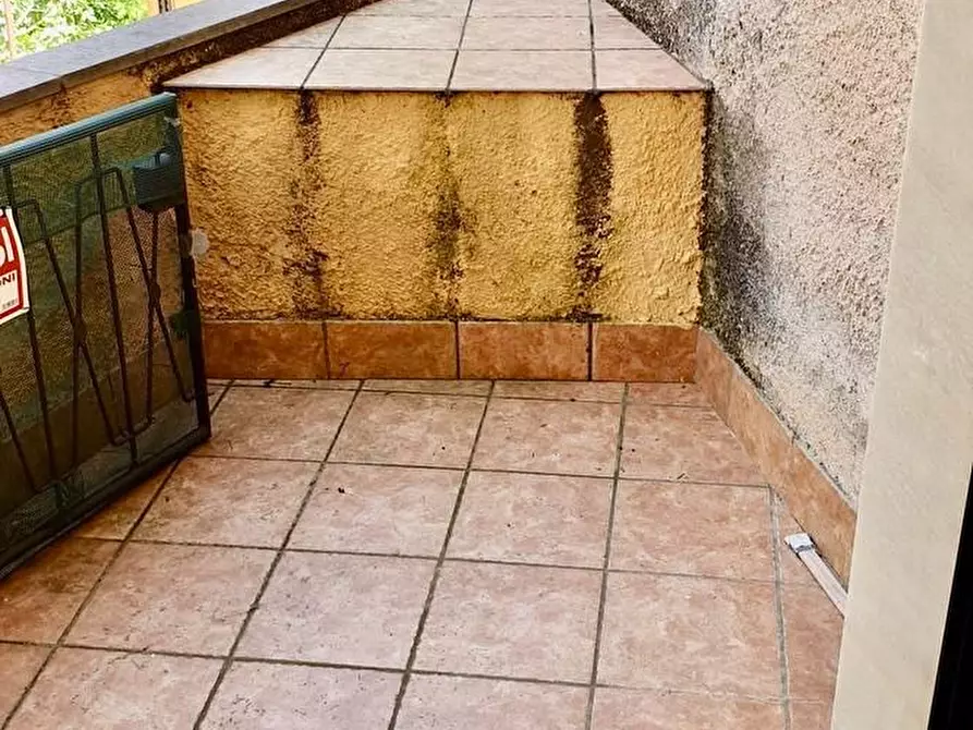 Immagine 4 di Terratetto in vendita  a Massa