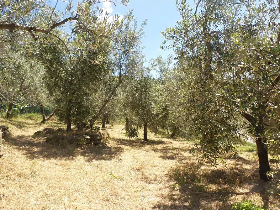 Immagine 16 di Casa semindipendente in vendita  a Vinci