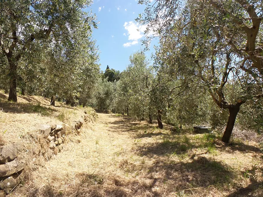 Immagine 17 di Casa semindipendente in vendita  a Vinci