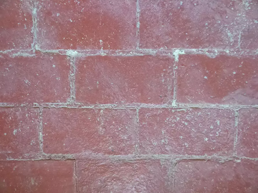 Immagine 33 di Casa semindipendente in vendita  a Vinci