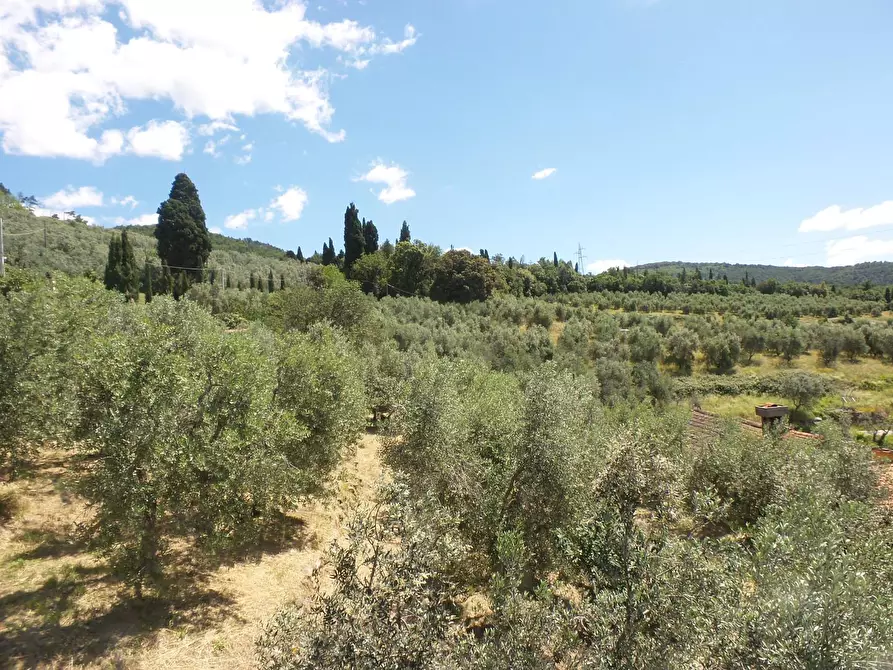 Immagine 10 di Casa semindipendente in vendita  a Vinci