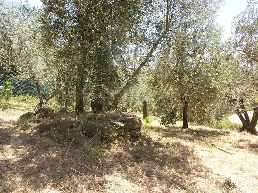 Immagine 14 di Casa semindipendente in vendita  a Vinci