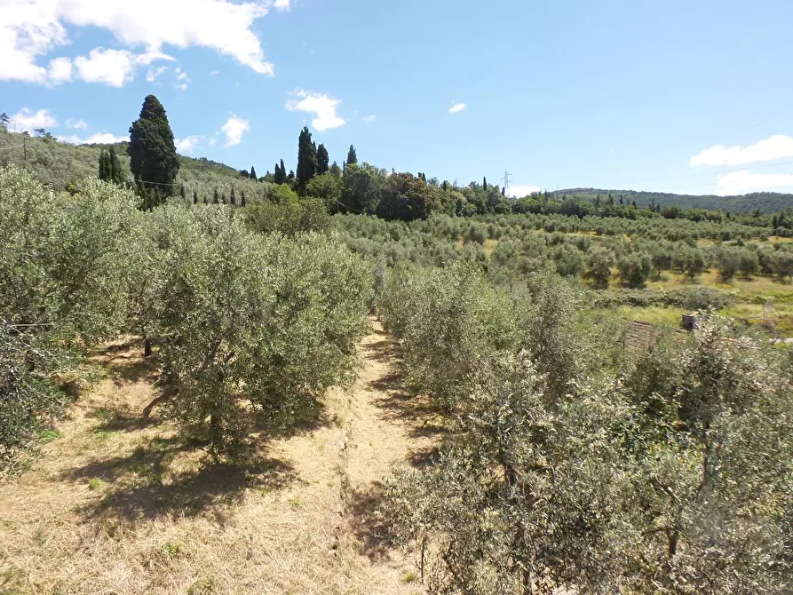 Immagine 12 di Casa semindipendente in vendita  a Vinci