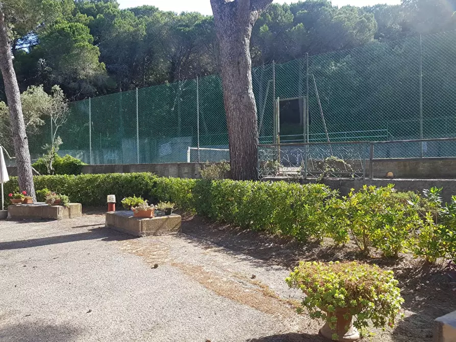 Immagine 18 di Appartamento in vendita  a Rosignano Marittimo