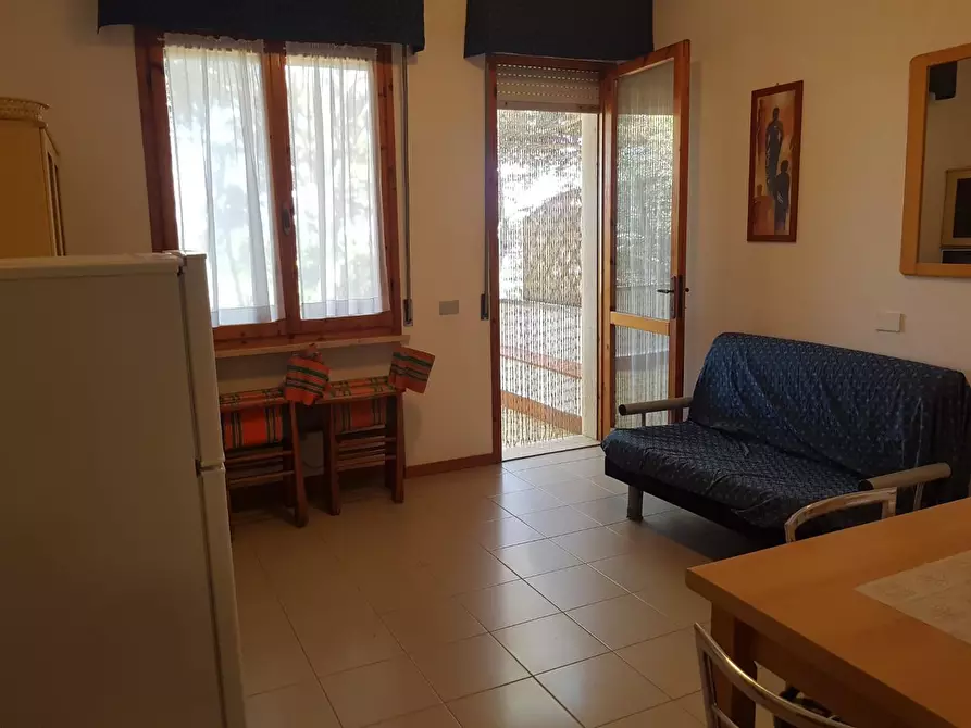 Immagine 5 di Appartamento in vendita  a Rosignano Marittimo