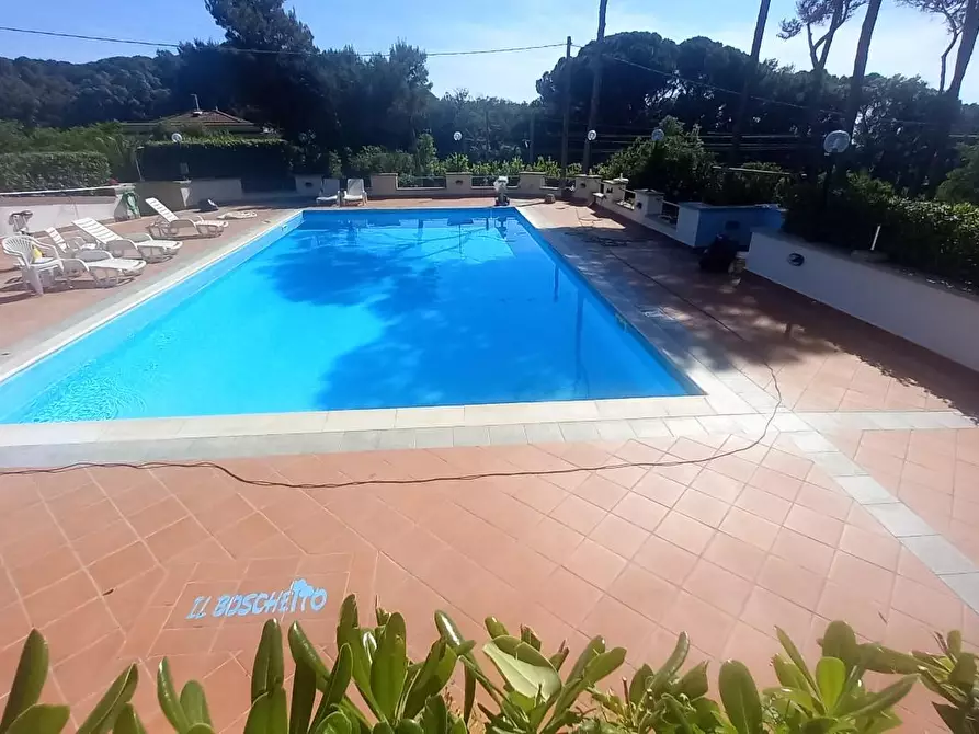 Immagine 22 di Appartamento in vendita  a Rosignano Marittimo