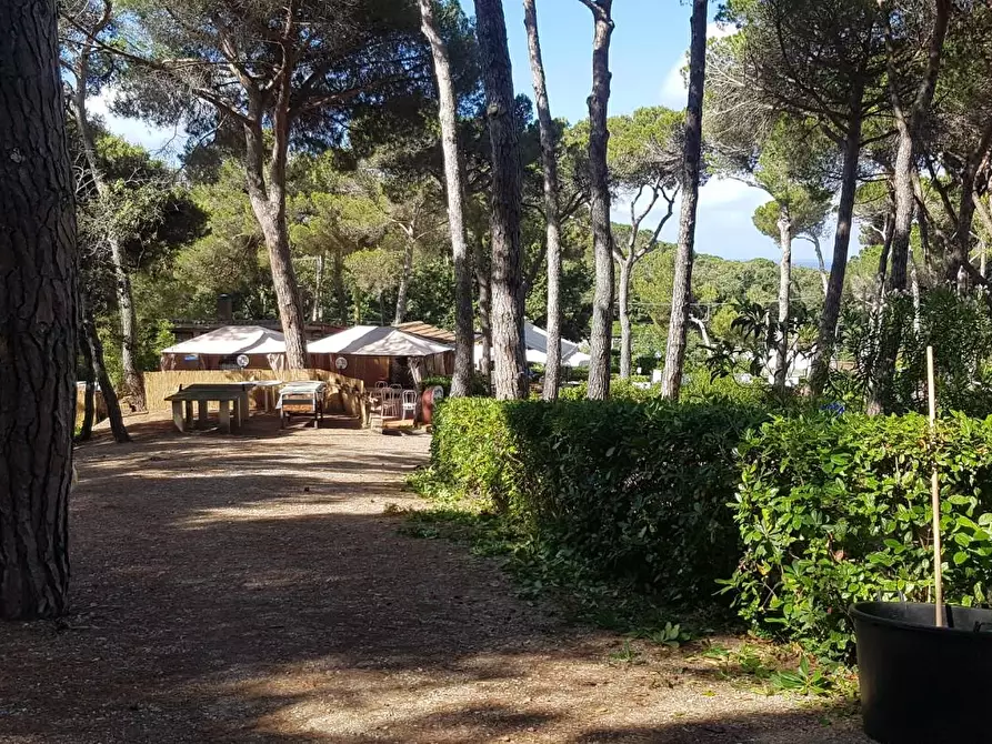 Immagine 20 di Appartamento in vendita  a Rosignano Marittimo