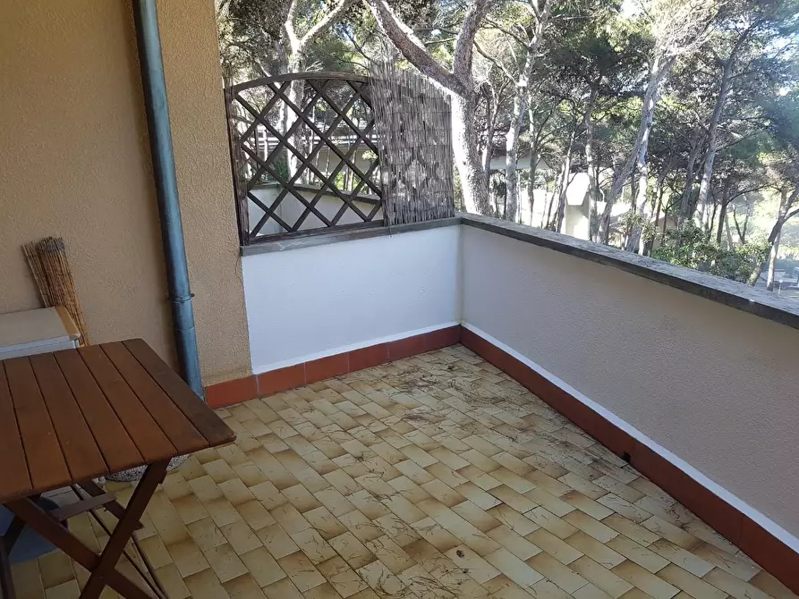 Immagine 15 di Appartamento in vendita  a Rosignano Marittimo