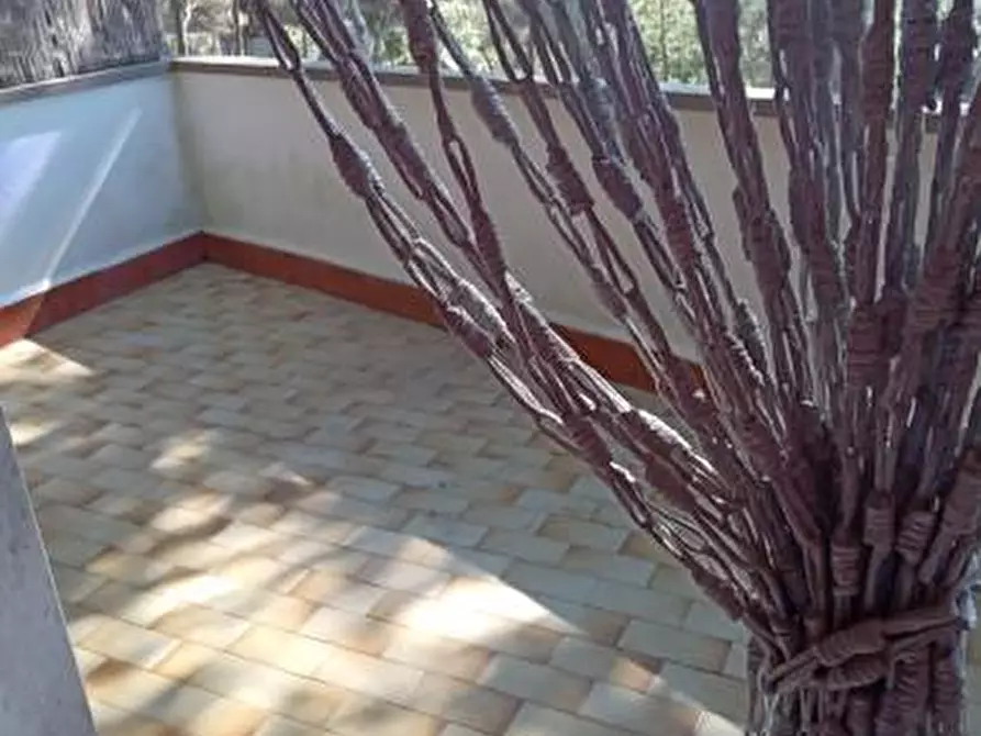 Immagine 16 di Appartamento in vendita  a Rosignano Marittimo