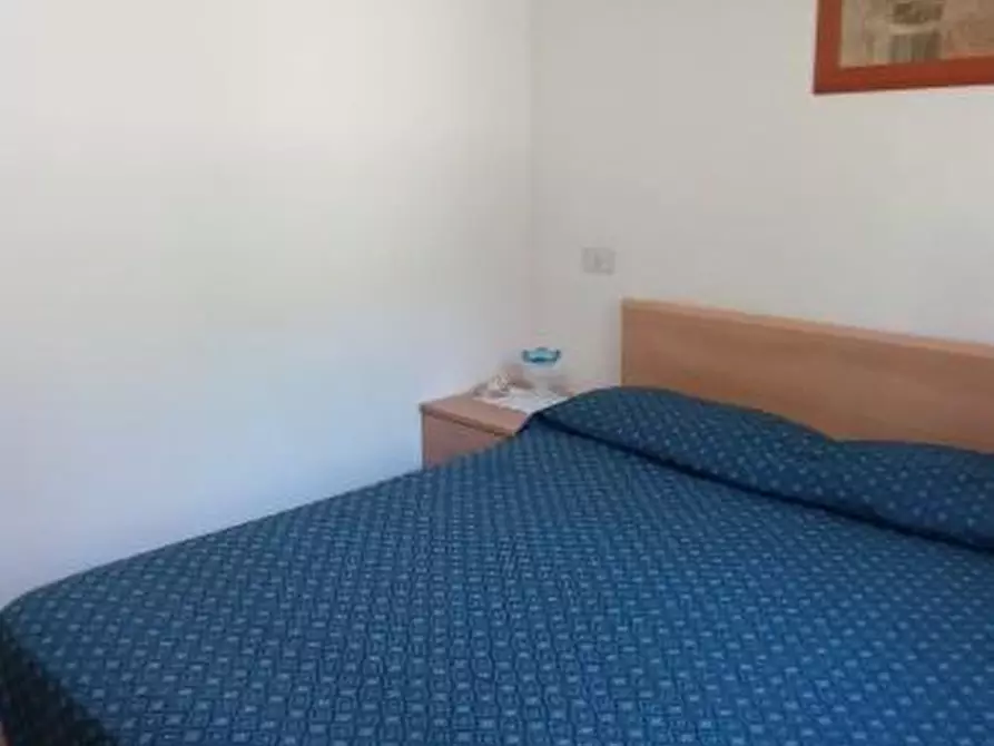 Immagine 11 di Appartamento in vendita  a Rosignano Marittimo