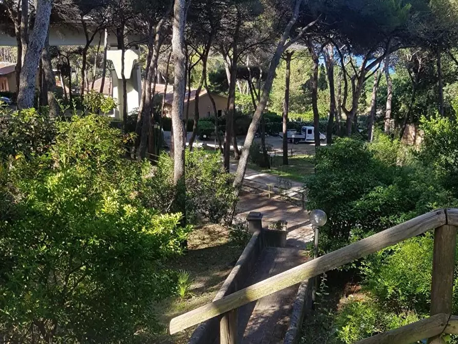 Immagine 19 di Appartamento in vendita  a Rosignano Marittimo