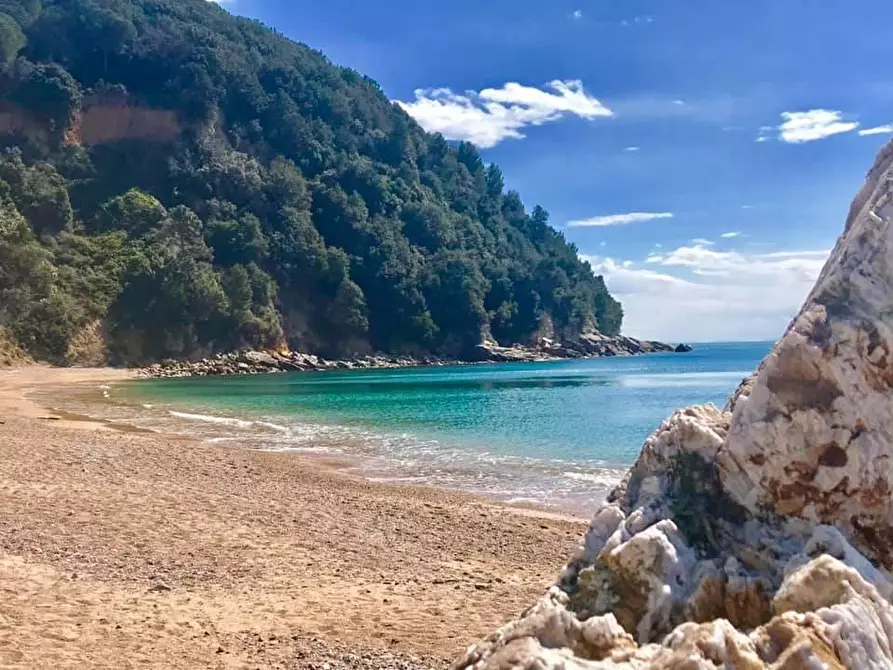 Immagine 4 di Appartamento in vendita  a Lerici