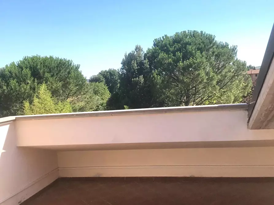 Immagine 22 di Villa in vendita  a Asciano