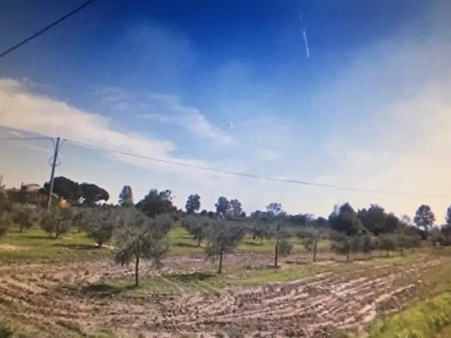 Immagine 1 di Terreno agricolo in vendita  a Cascina