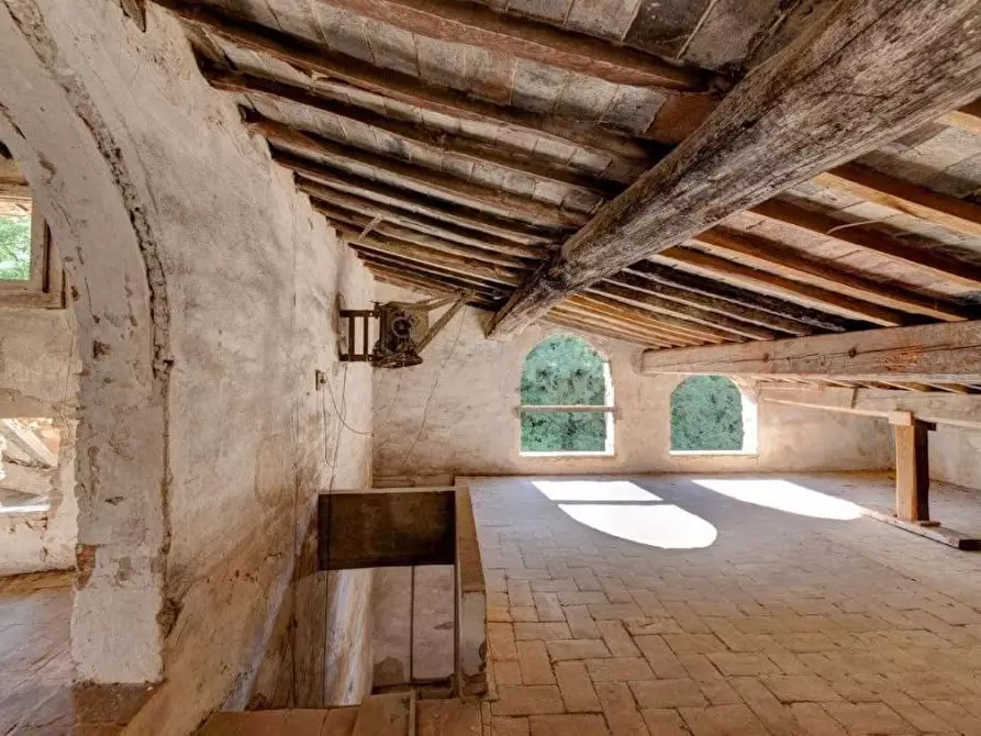 Immagine 2 di Rustico / casale in vendita  a Calci