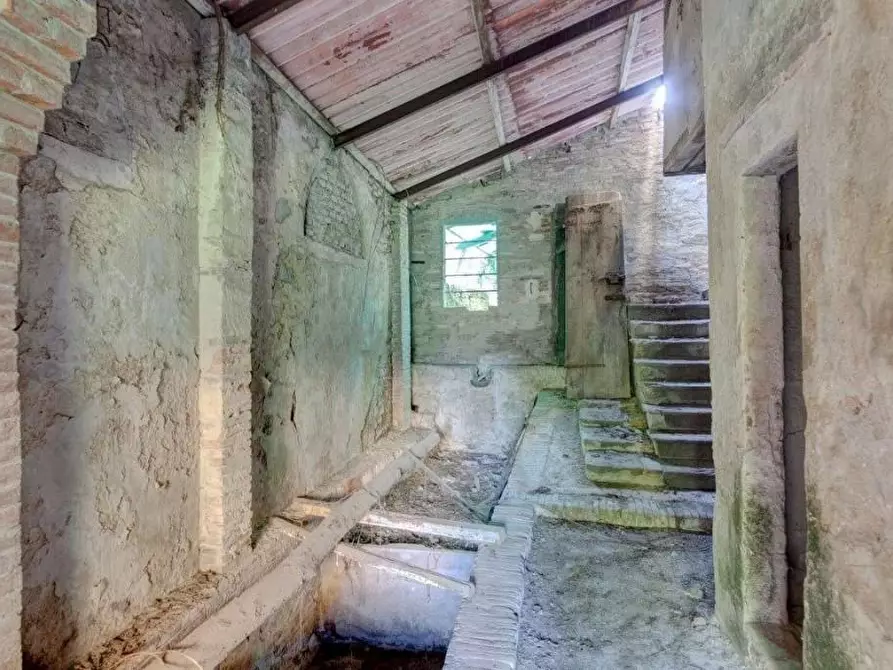 Immagine 10 di Rustico / casale in vendita  a Calci