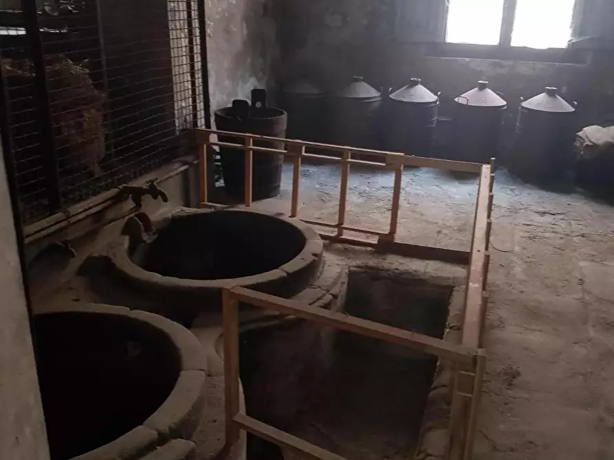 Immagine 14 di Rustico / casale in vendita  a Calci