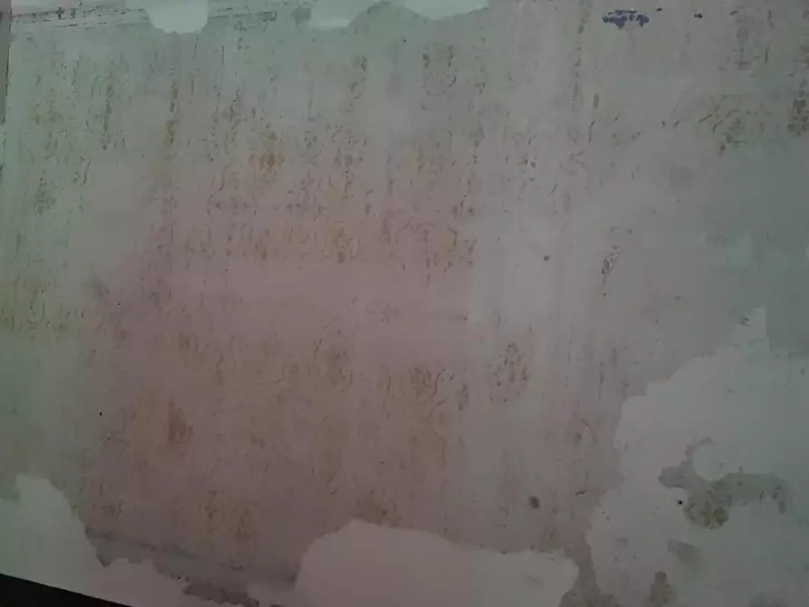 Immagine 13 di Rustico / casale in vendita  a Calci