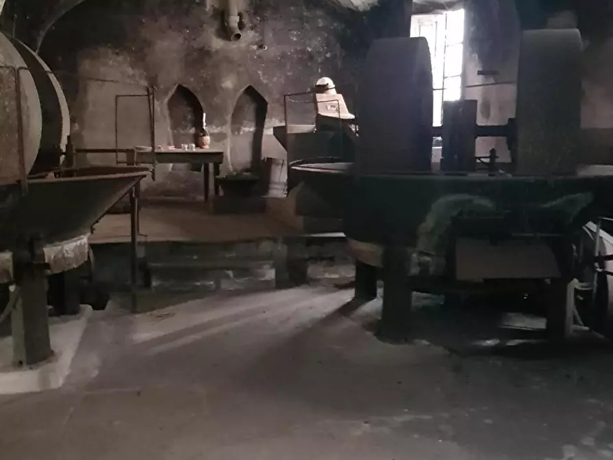 Immagine 5 di Rustico / casale in vendita  a Calci