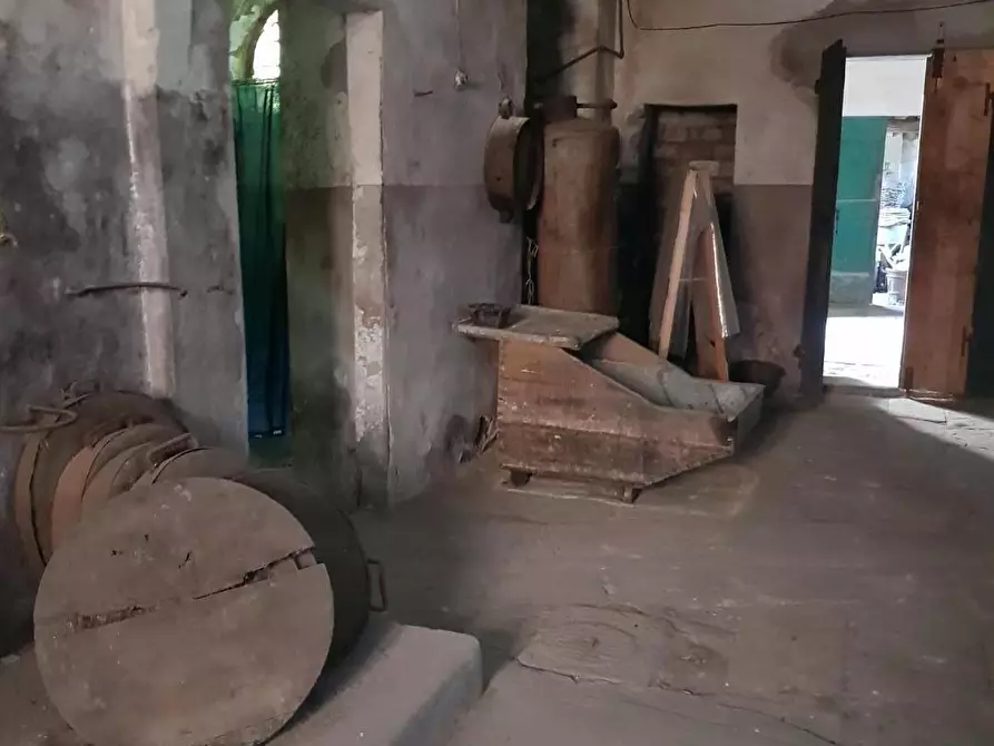 Immagine 4 di Rustico / casale in vendita  a Calci