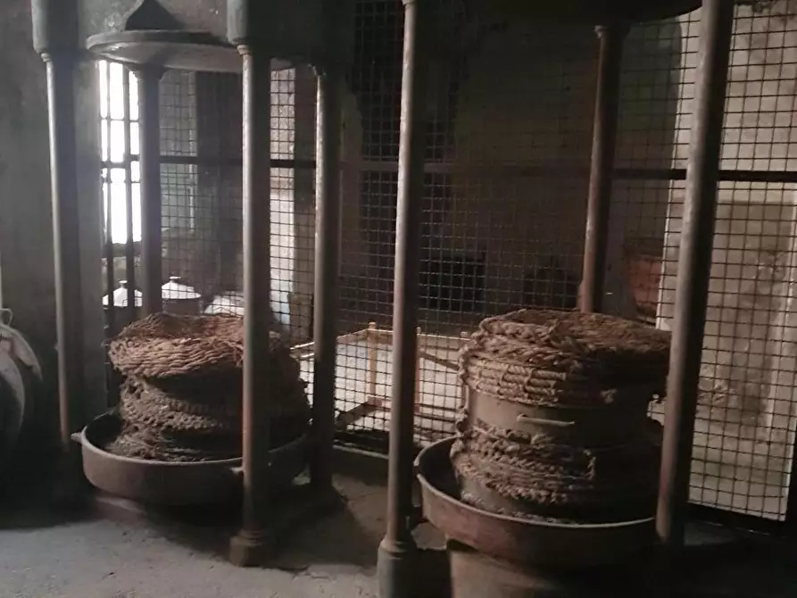 Immagine 3 di Rustico / casale in vendita  a Calci