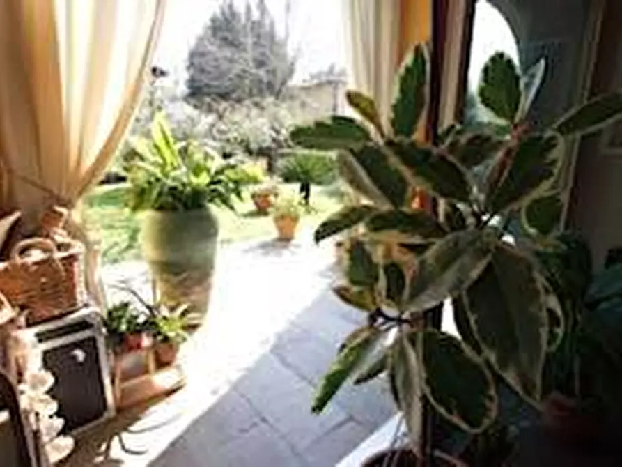 Immagine 8 di Rustico / casale in vendita  a San Giuliano Terme