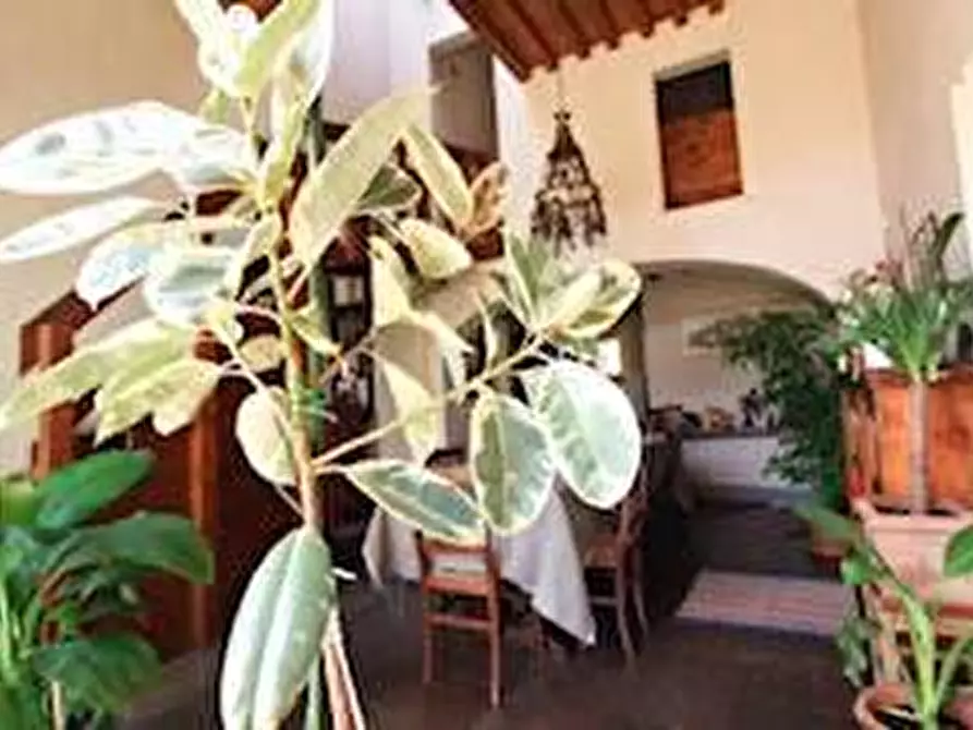 Immagine 10 di Rustico / casale in vendita  a San Giuliano Terme