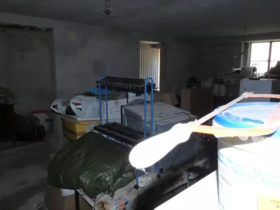 Immagine 35 di Appartamento in vendita  a Rosignano Marittimo