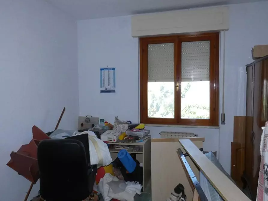 Immagine 16 di Appartamento in vendita  a Rosignano Marittimo