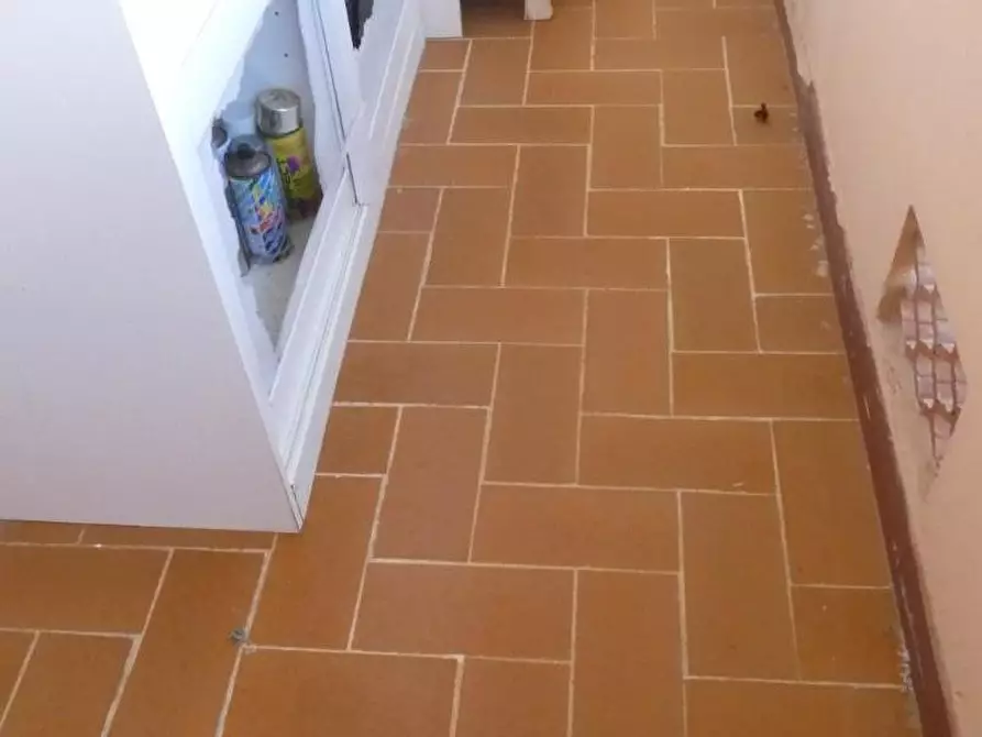 Immagine 13 di Appartamento in vendita  a Rosignano Marittimo