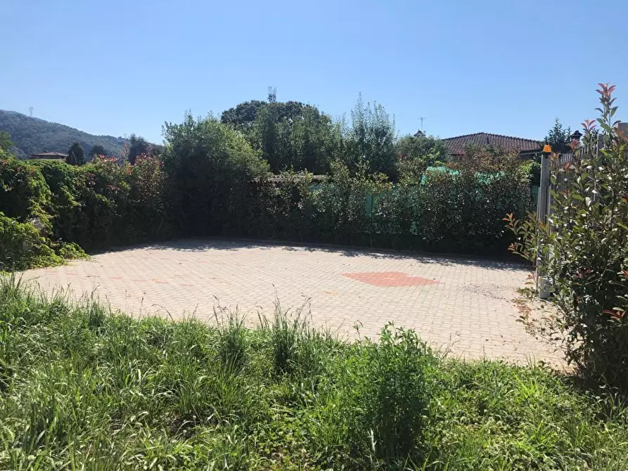 Immagine 3 di Casa trifamiliare in vendita  a Montignoso