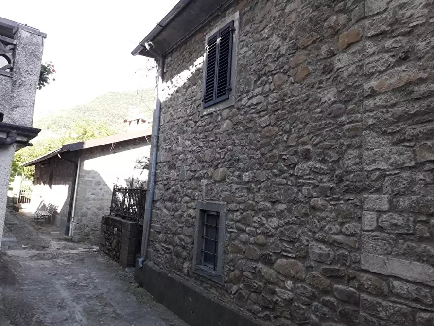 Immagine 2 di Rustico / casale in vendita  a Comano