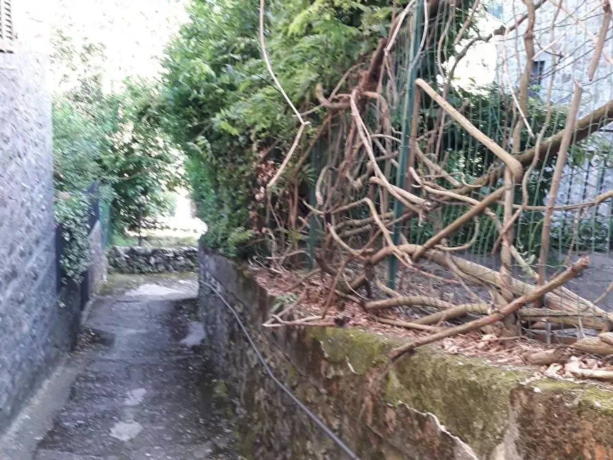 Immagine 6 di Rustico / casale in vendita  a Comano