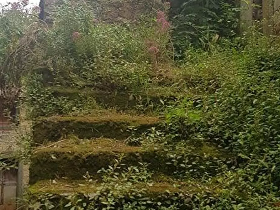 Immagine 29 di Rustico / casale in vendita  a Fivizzano