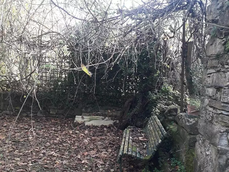 Immagine 8 di Rustico / casale in vendita  a Fivizzano