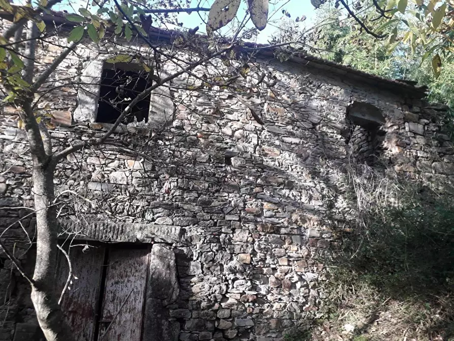 Immagine 11 di Rustico / casale in vendita  a Fivizzano