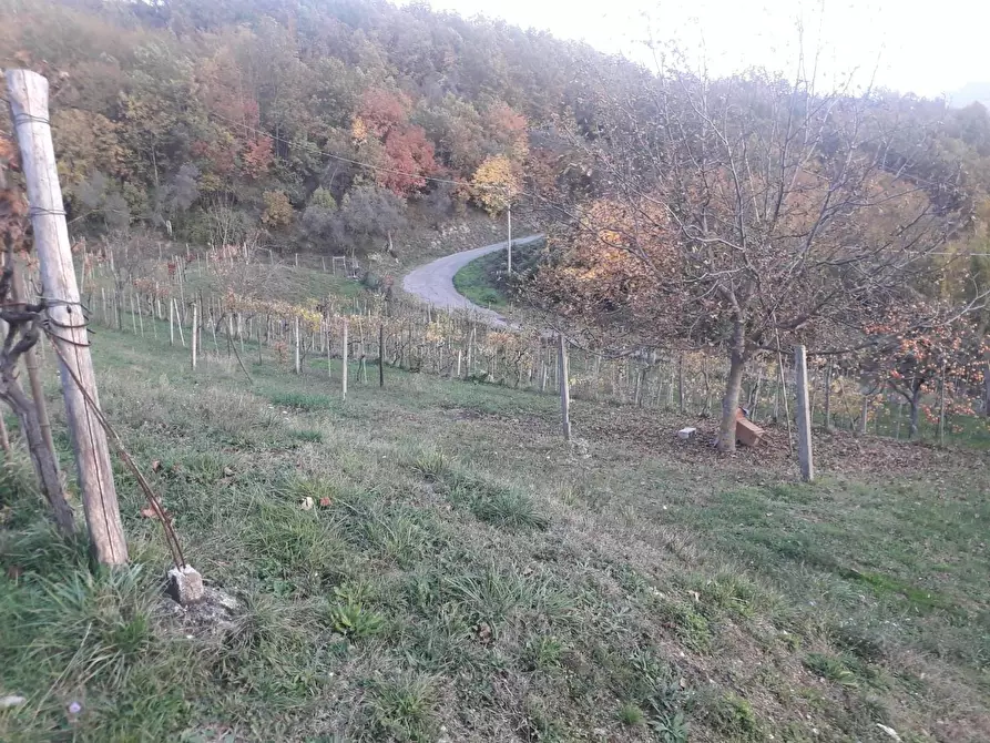 Immagine 28 di Rustico / casale in vendita  a Fivizzano