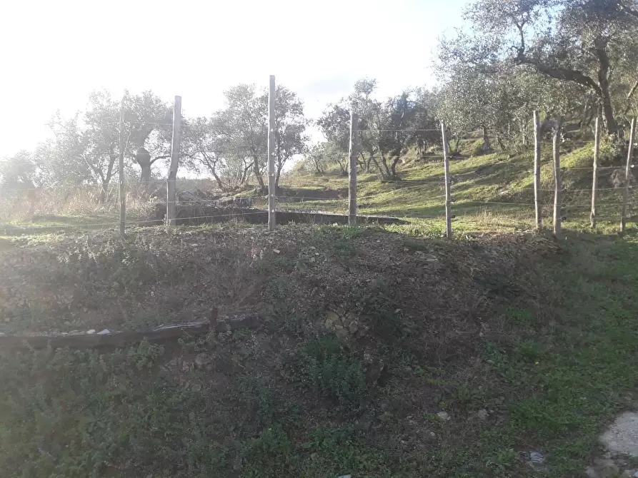 Immagine 26 di Rustico / casale in vendita  a Fivizzano