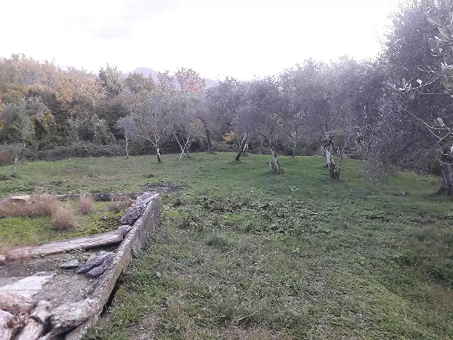 Immagine 27 di Rustico / casale in vendita  a Fivizzano