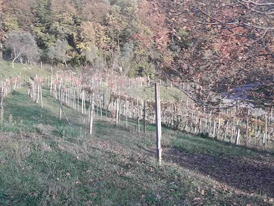 Immagine 25 di Rustico / casale in vendita  a Fivizzano