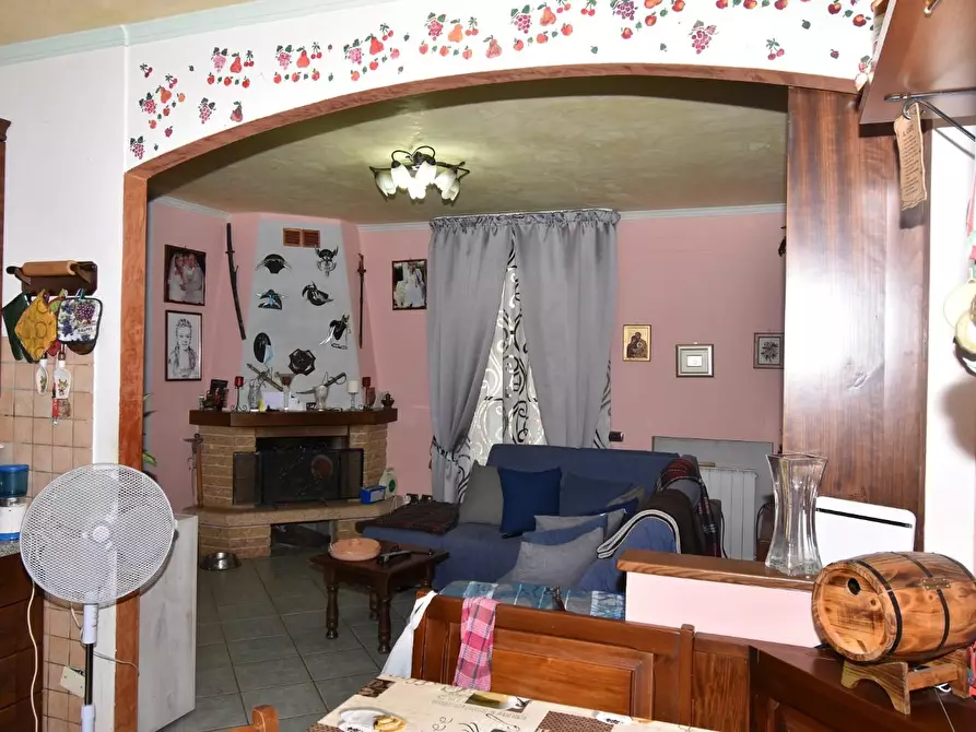 Immagine 3 di Casa bifamiliare in vendita  a Vecchiano