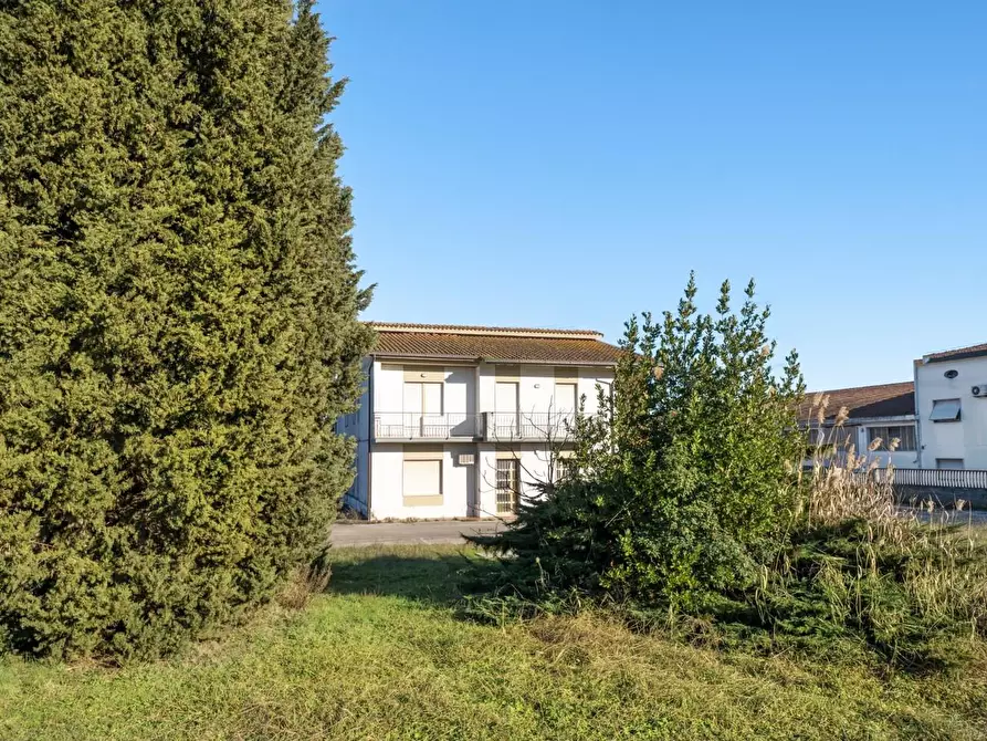 Immagine 4 di Capannone industriale in vendita  a Bientina