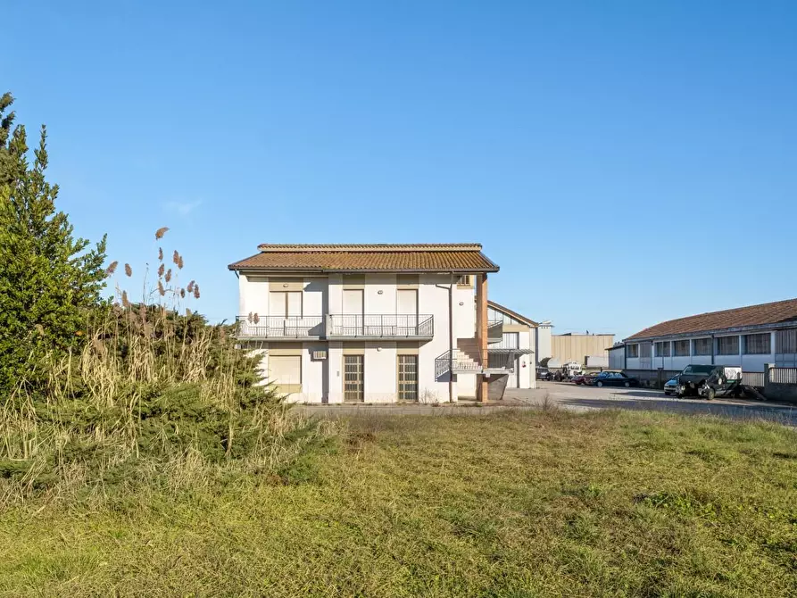 Immagine 3 di Capannone industriale in vendita  a Bientina