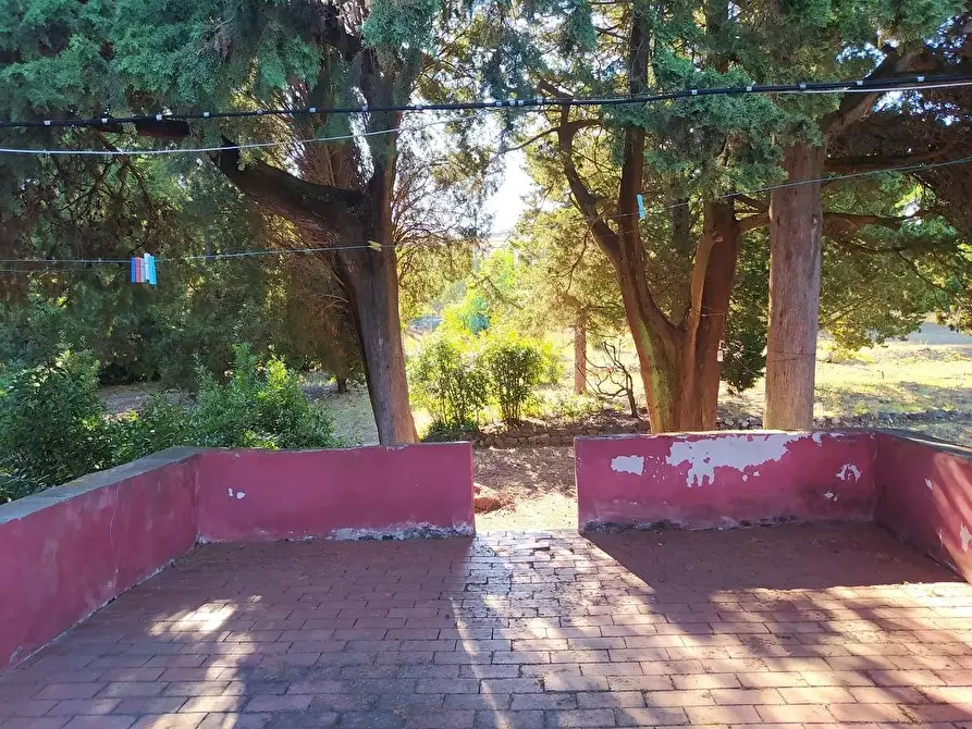 Immagine 4 di Villa in vendita  a Livorno