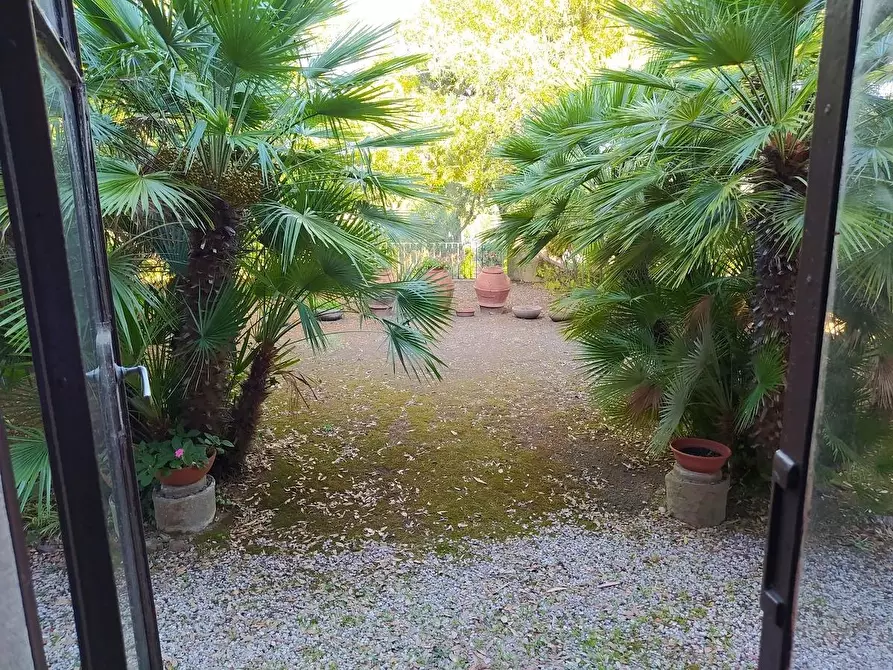 Immagine 11 di Villa in vendita  a Livorno